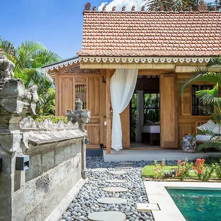 Nido Boutique Cottage, Premium Palm View 6